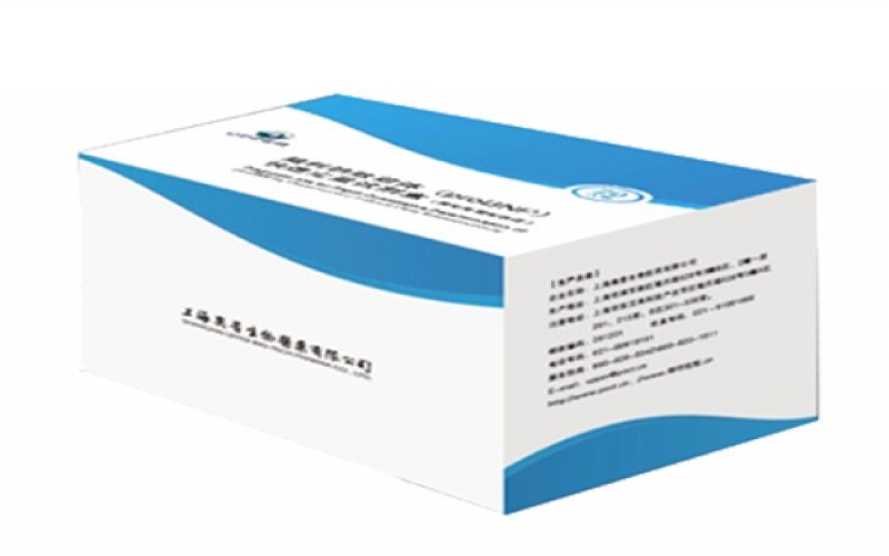 腦利鈉肽前體(proBNP)快速定量試劑盒(熒光免疫層析法)